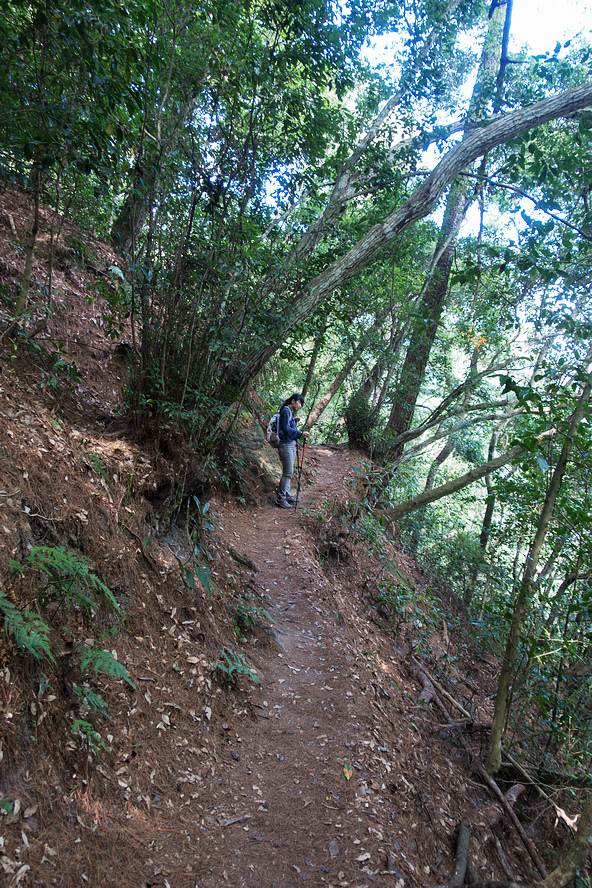 DSC02121.jpg DSC02121.jpg