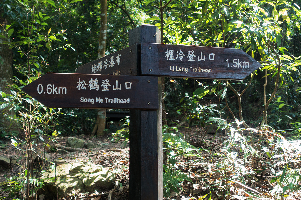 DSC02132.jpg DSC02132.jpg