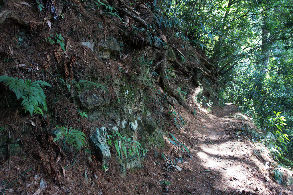 DSC02133.jpg DSC02133.jpg