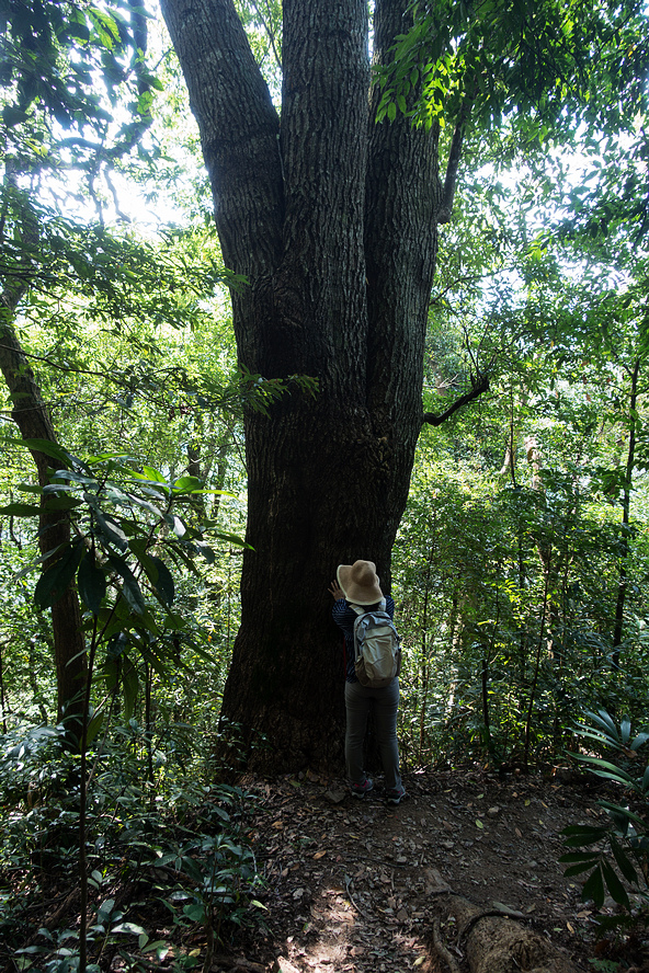 DSC02136.jpg DSC02136.jpg