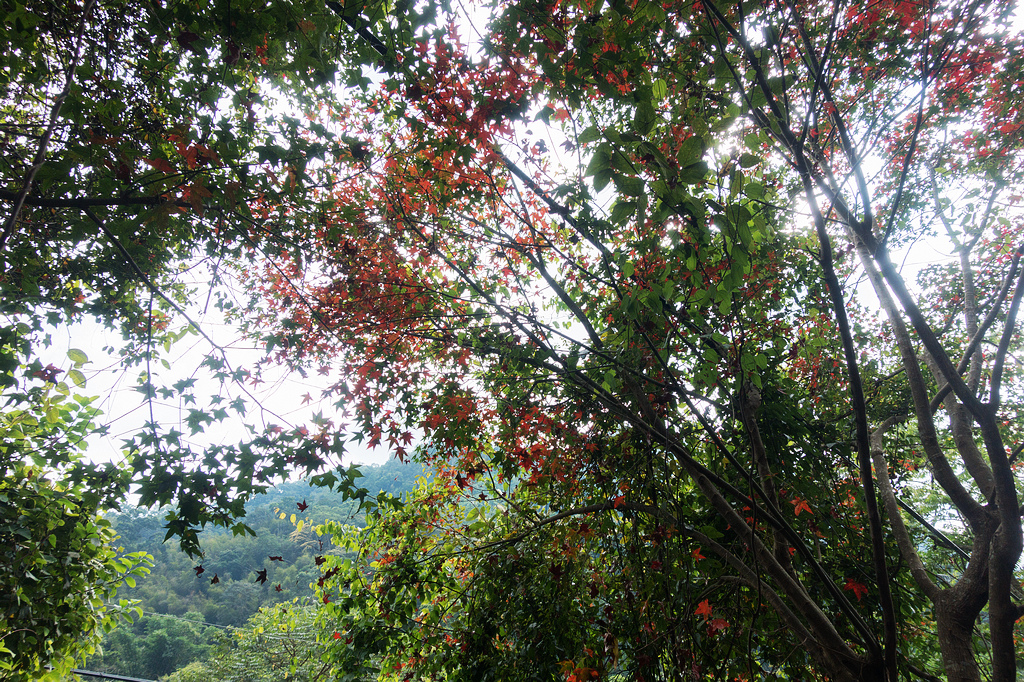 DSC02143.jpg DSC02143.jpg