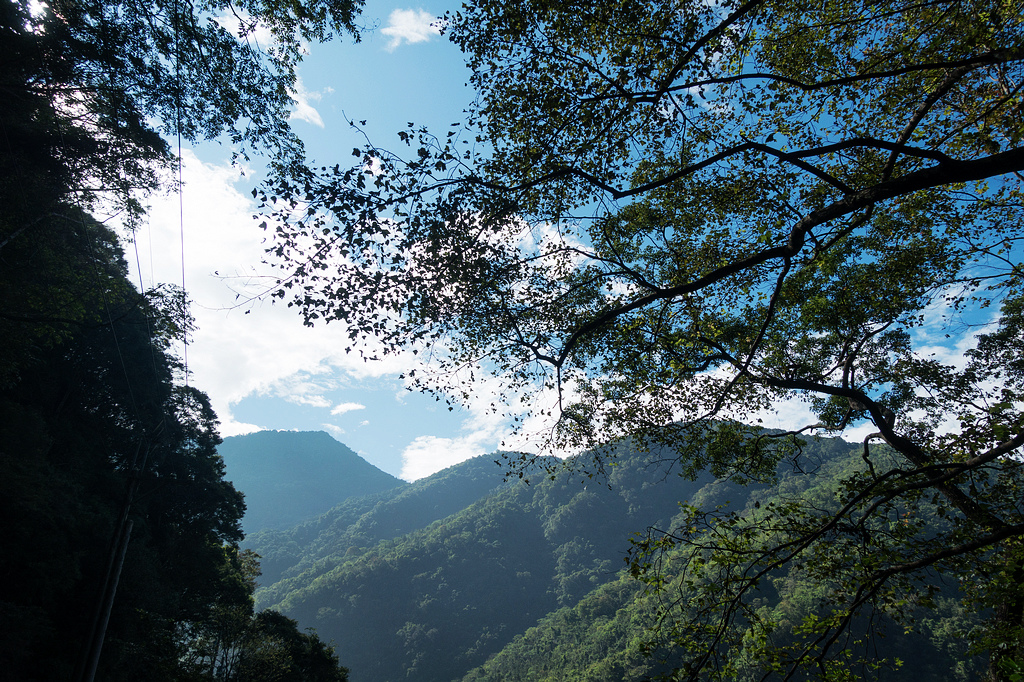 DSC02163.jpg DSC02163.jpg