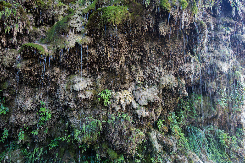 DSC02167.jpg DSC02167.jpg