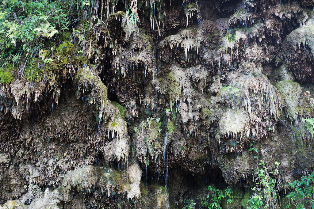 DSC02180.jpg DSC02180.jpg