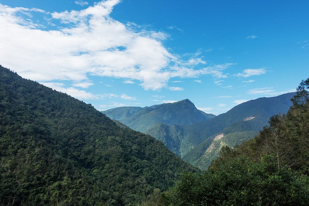 DSC02205.jpg DSC02205.jpg