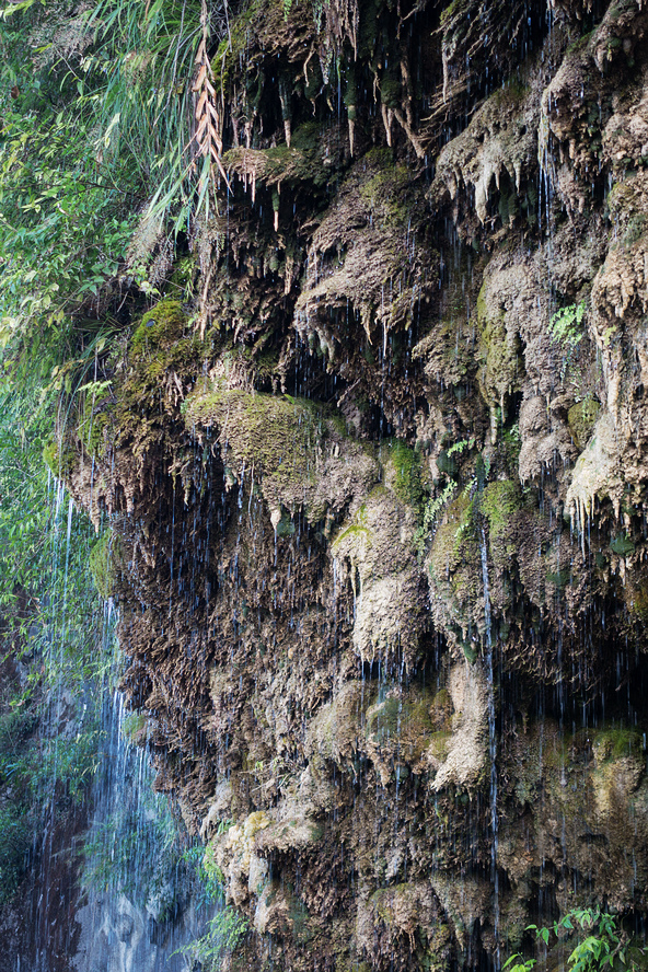 DSC02186.jpg DSC02186.jpg