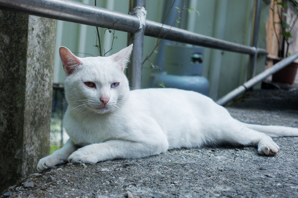 DSC02225.jpg DSC02225.jpg