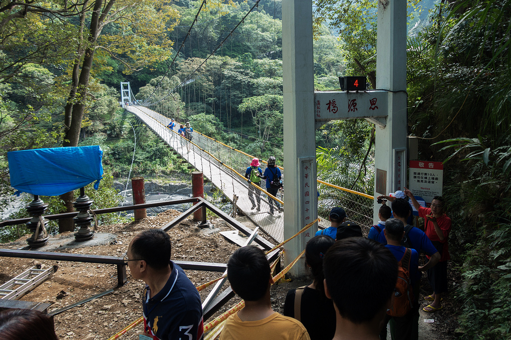 DSC02230.jpg DSC02230.jpg