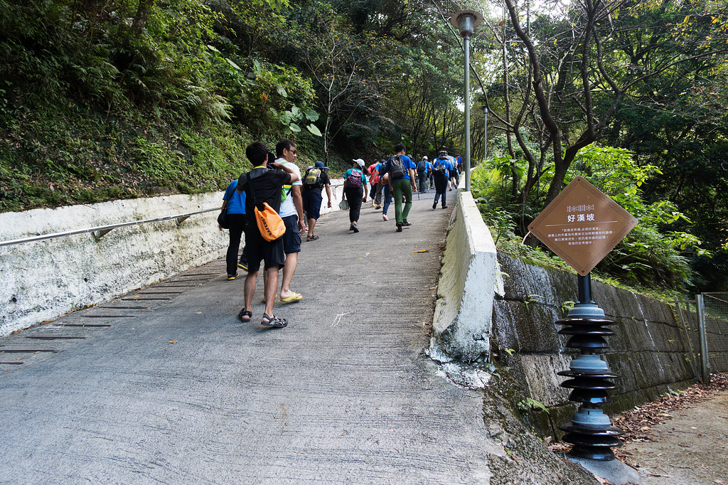 DSC02235.jpg DSC02235.jpg