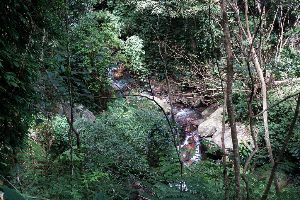 DSC02250.jpg DSC02250.jpg