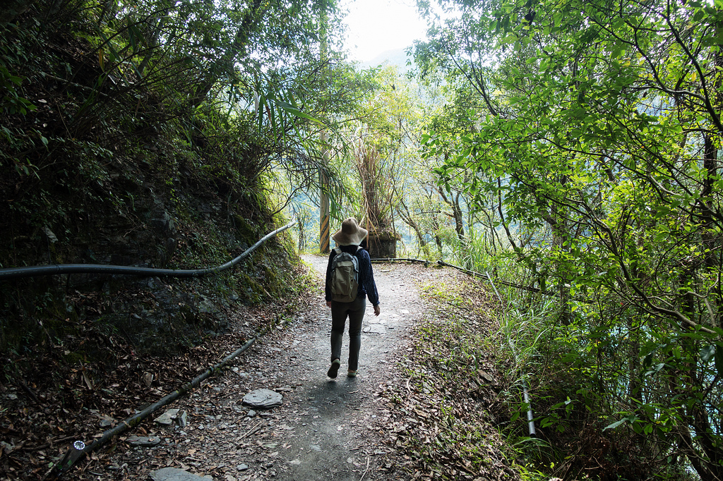 DSC02245.jpg DSC02245.jpg