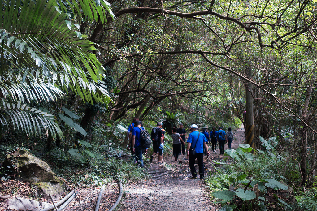 DSC02248.jpg DSC02248.jpg