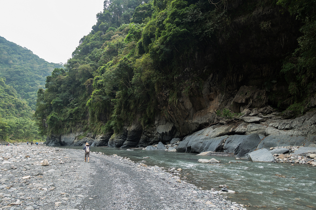 DSC02415.jpg DSC02415.jpg