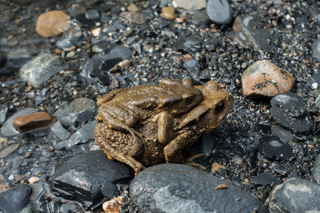 DSC02420.jpg DSC02420.jpg