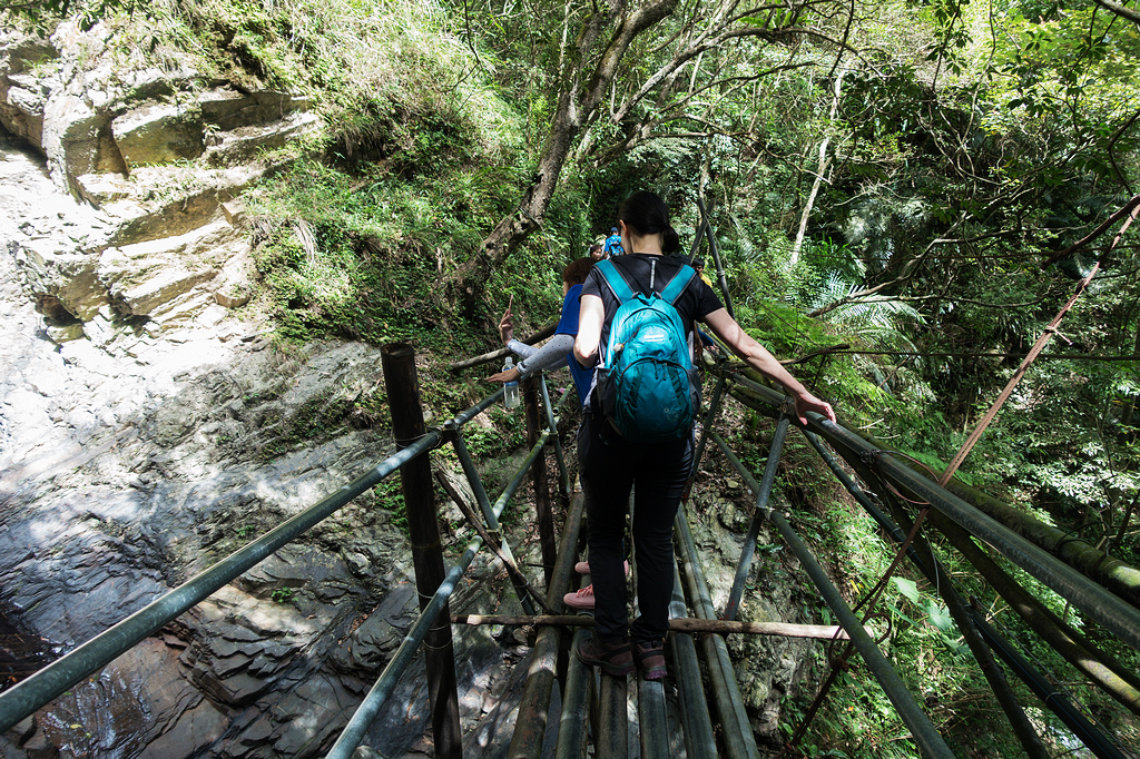 DSC02253.jpg DSC02253.jpg