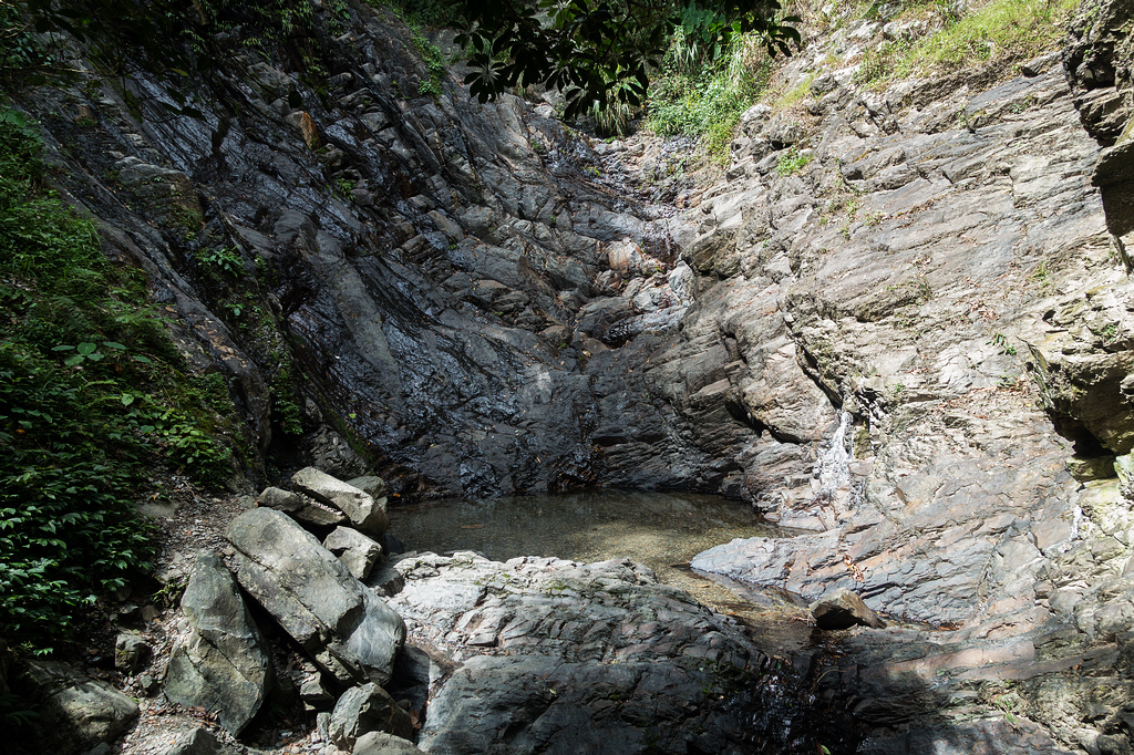 DSC02255.jpg DSC02255.jpg