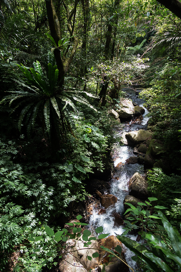 DSC02259.jpg DSC02259.jpg