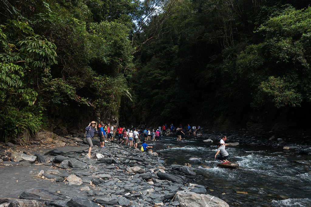 DSC02431.jpg DSC02431.jpg