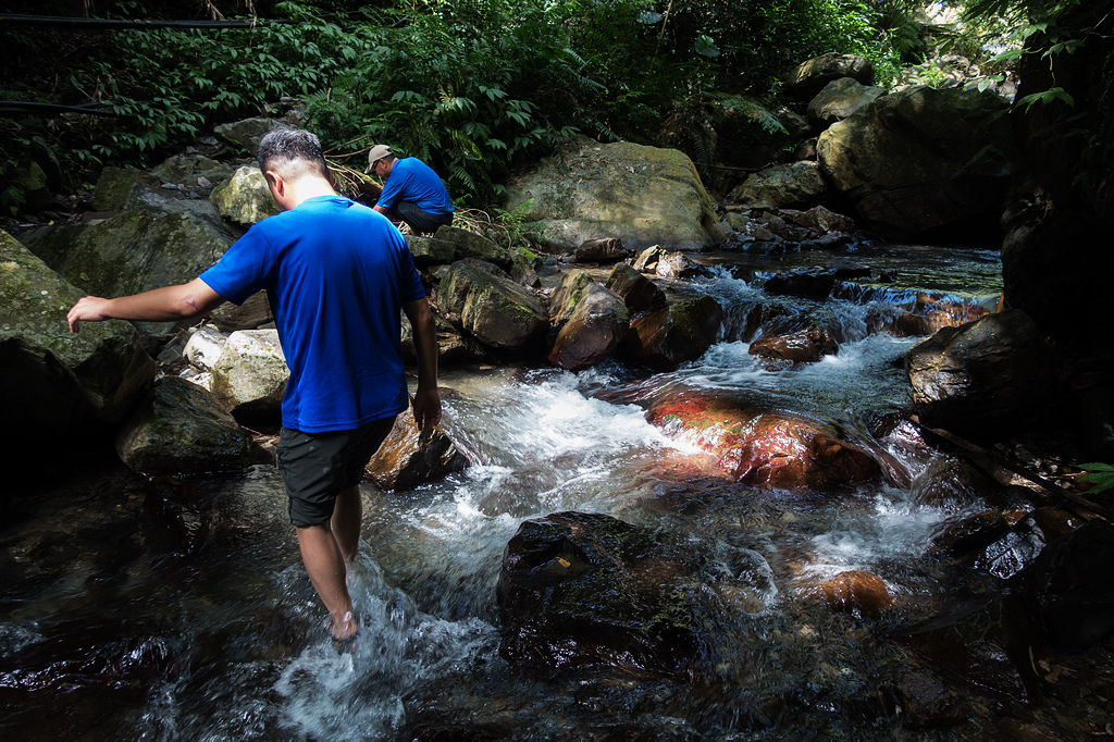 DSC02271.jpg DSC02271.jpg