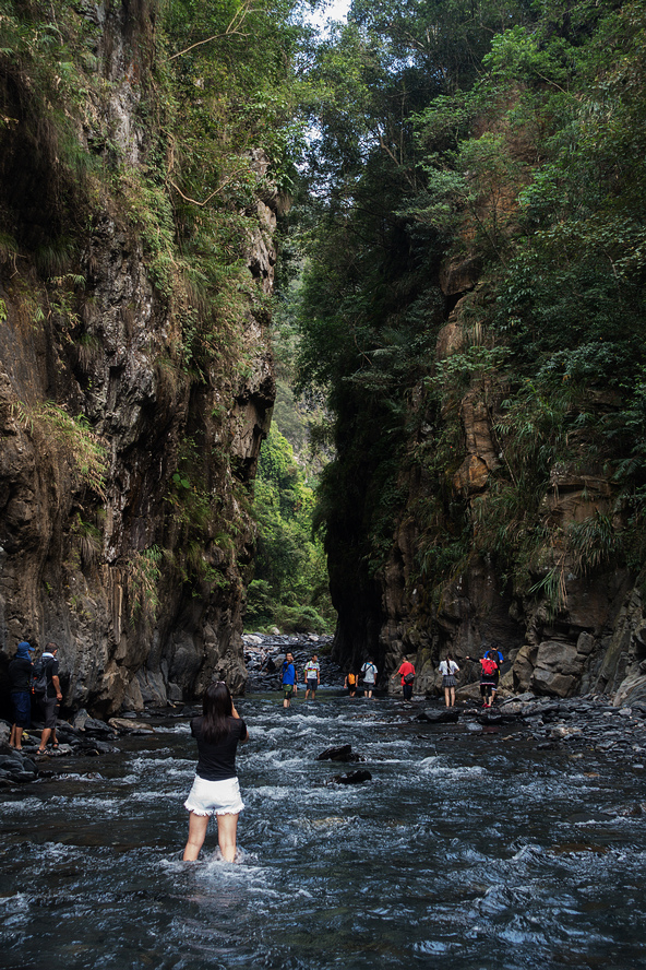 DSC02440.jpg DSC02440.jpg