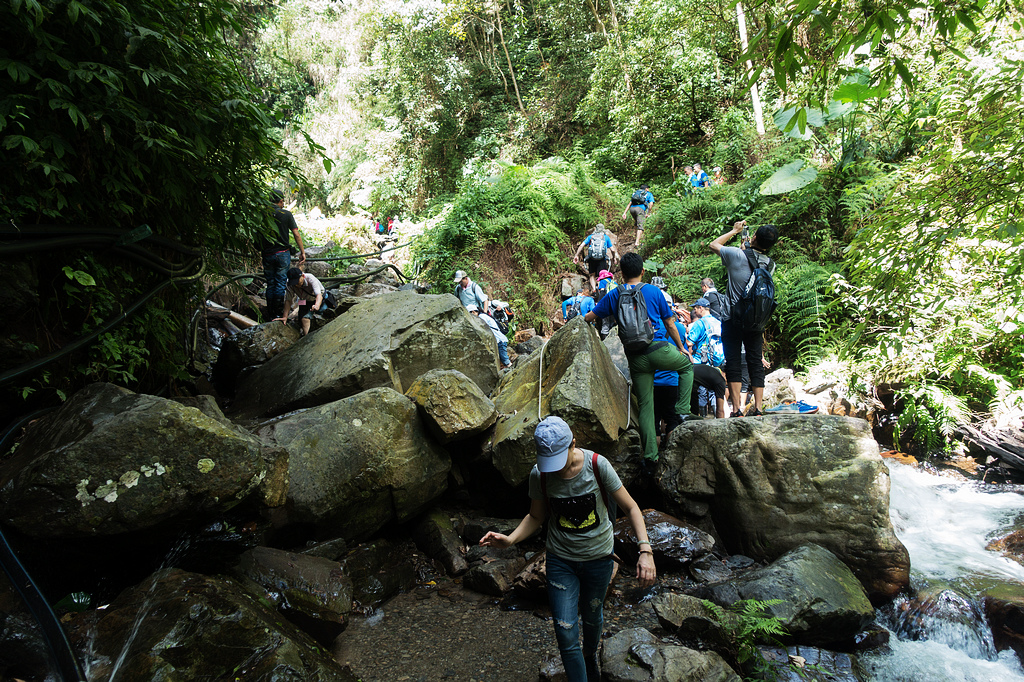 DSC02272.jpg DSC02272.jpg