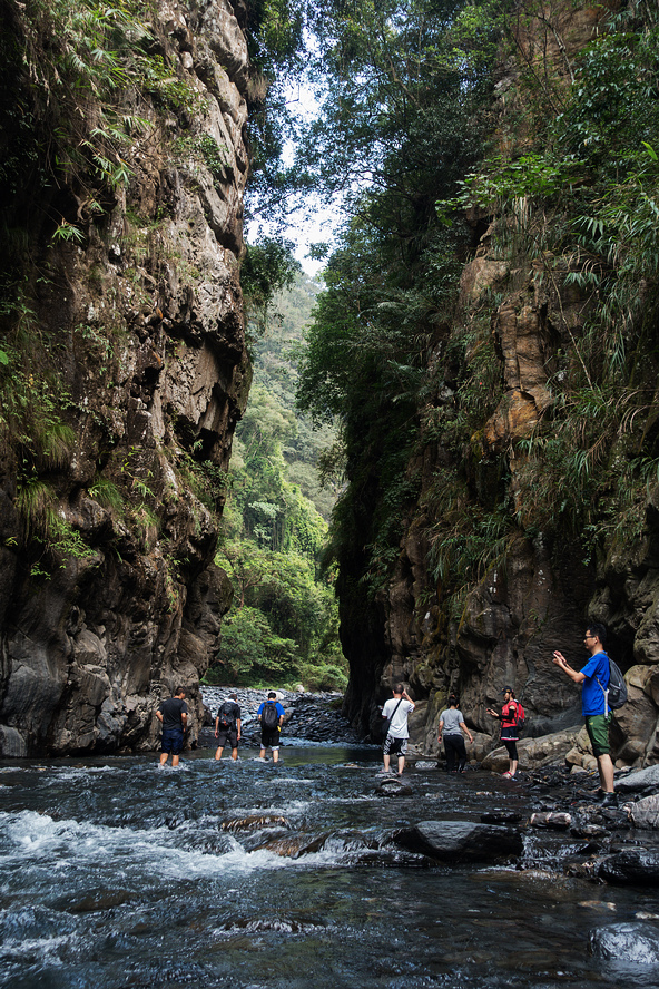 DSC02454.jpg DSC02454.jpg