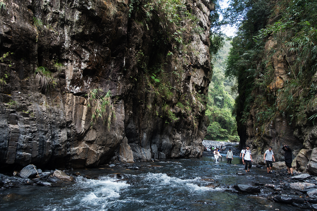 DSC02477.jpg DSC02477.jpg