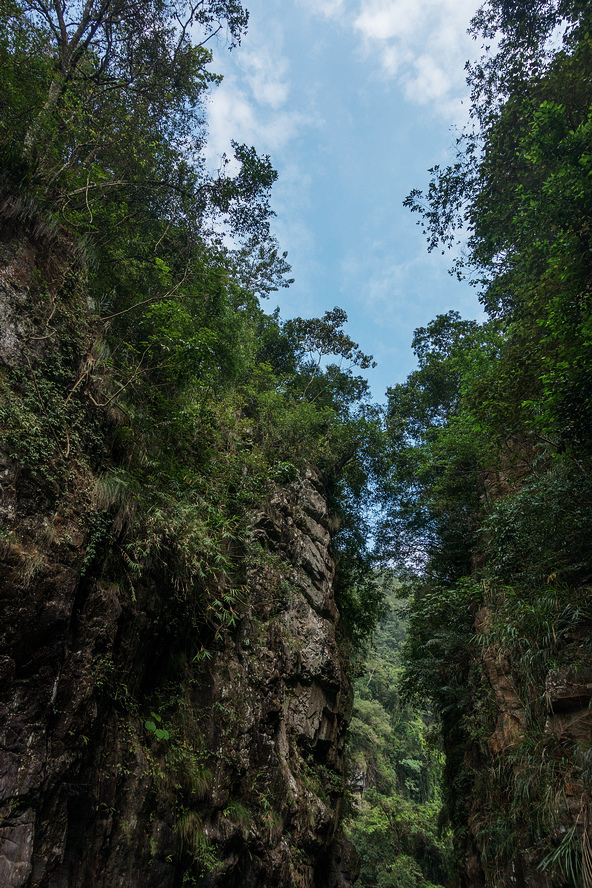 DSC02479.jpg DSC02479.jpg