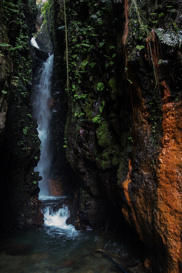 DSC02344.jpg DSC02344.jpg