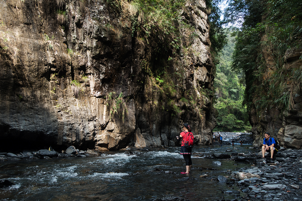 DSC02480.jpg DSC02480.jpg