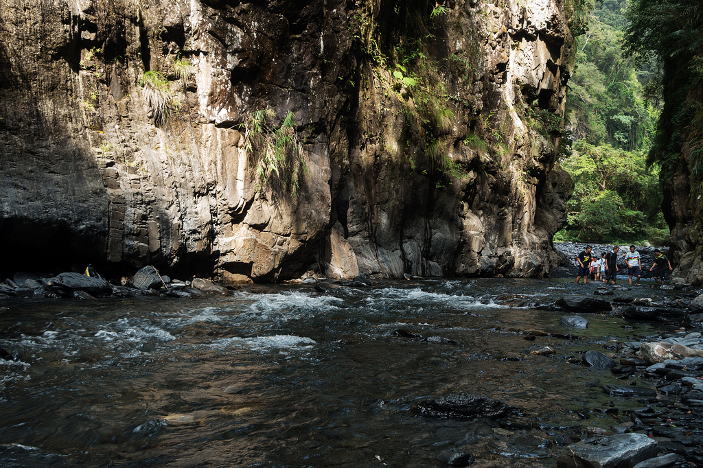 DSC02484.jpg DSC02484.jpg