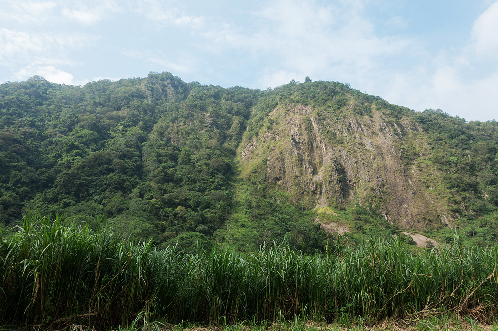 DSC02489.jpg DSC02489.jpg