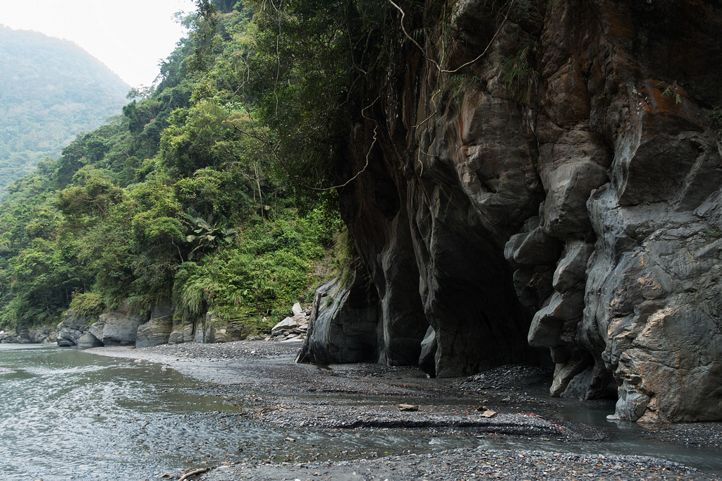 DSC02496.jpg DSC02496.jpg