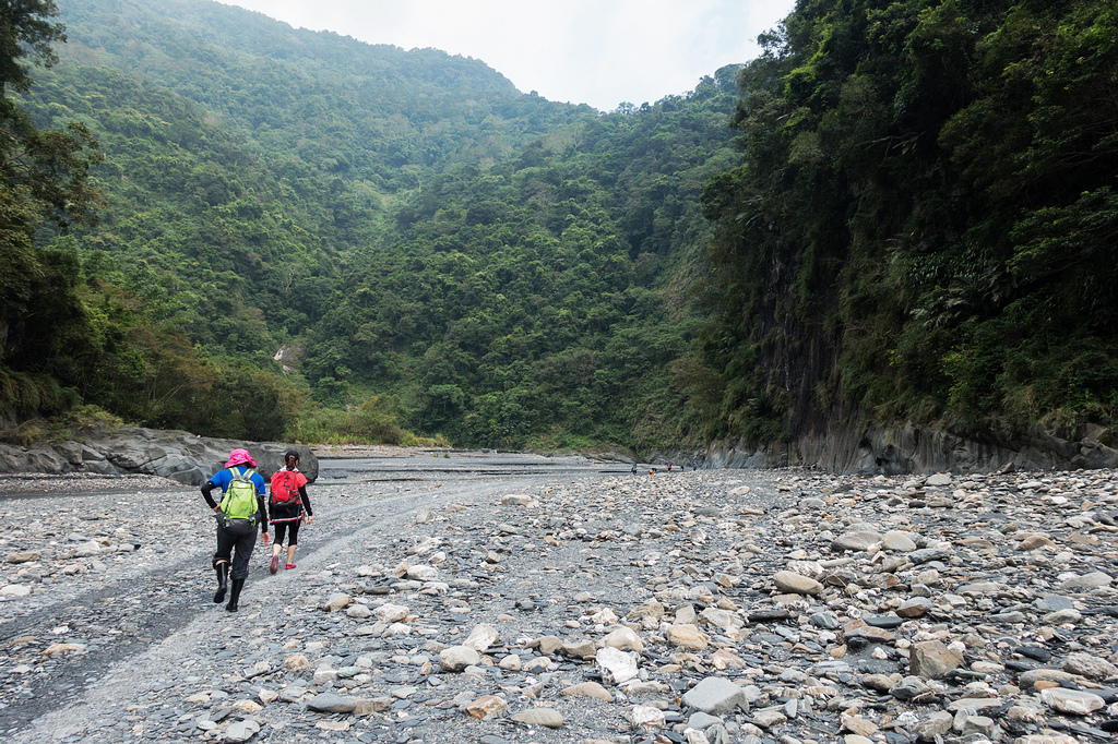 DSC02511.jpg DSC02511.jpg