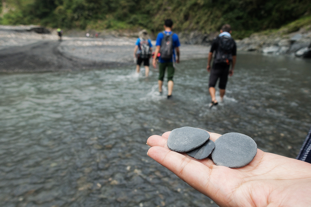 DSC02516.jpg DSC02516.jpg