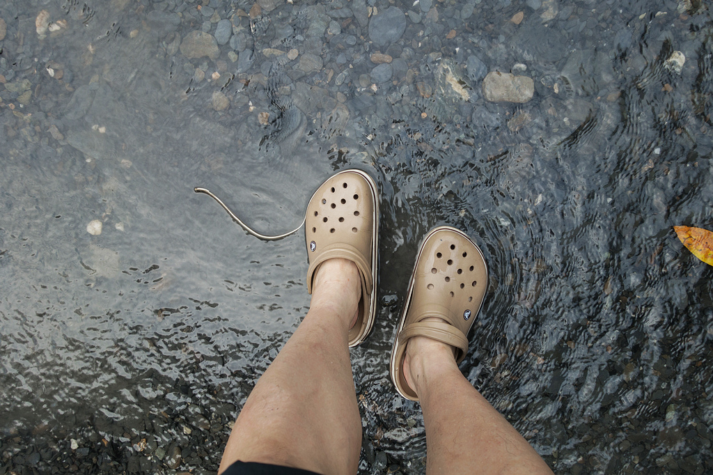 DSC02512.jpg DSC02512.jpg