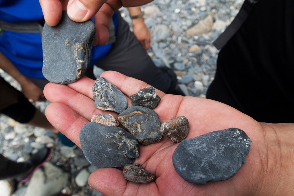 DSC02522.jpg DSC02522.jpg