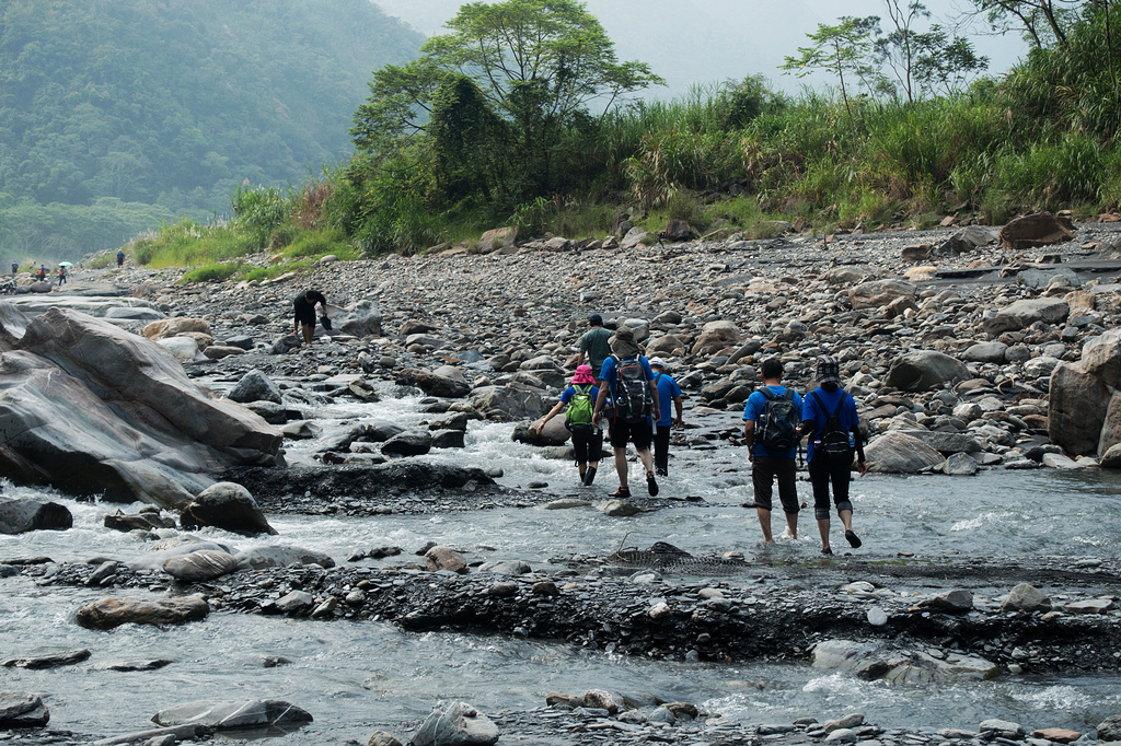 DSC02529.jpg DSC02529.jpg