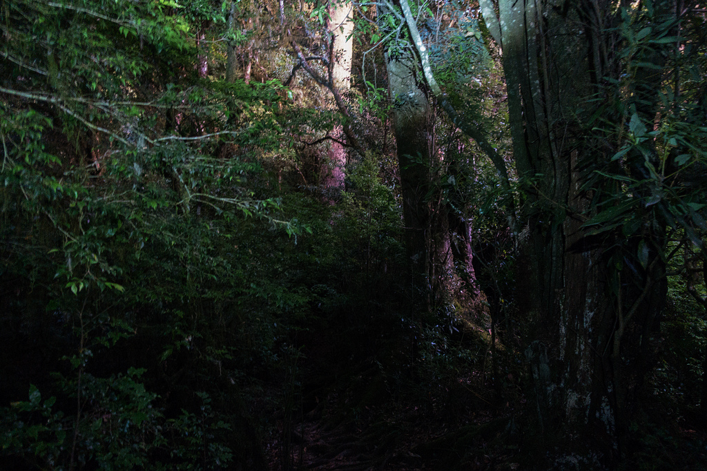 DSC02581.jpg DSC02581.jpg