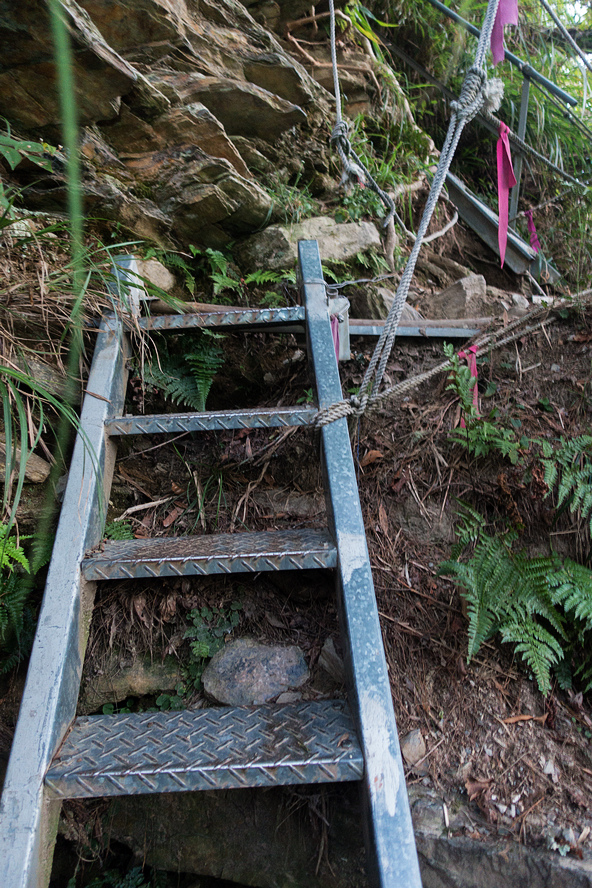 DSC02583.jpg DSC02583.jpg