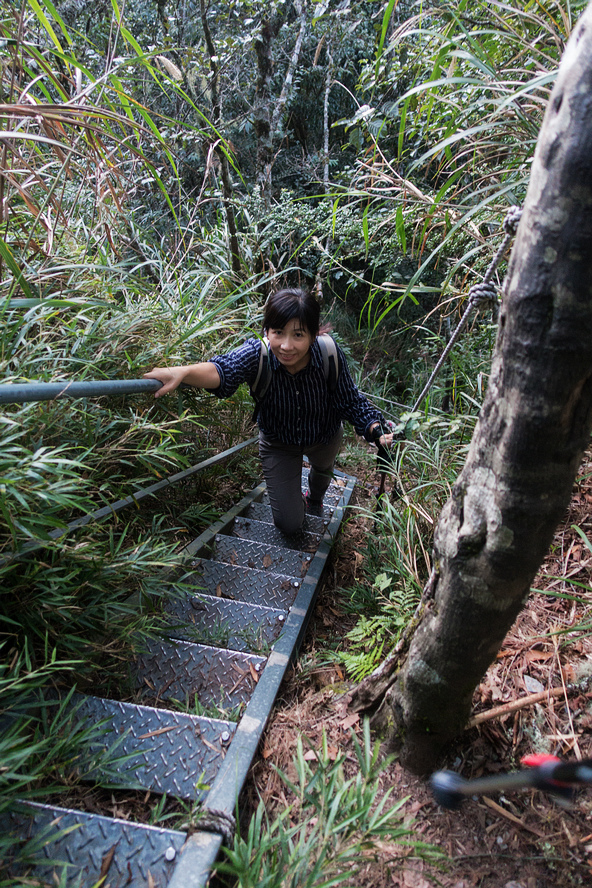 DSC02586-編輯.jpg DSC02586-編輯.jpg