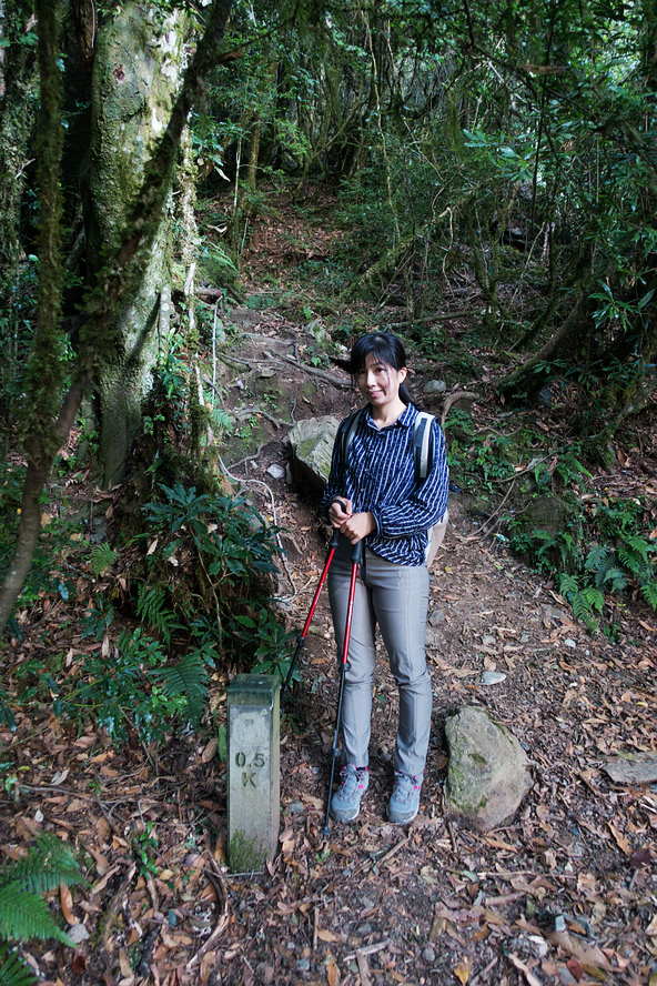 DSC02594-編輯.jpg DSC02594-編輯.jpg