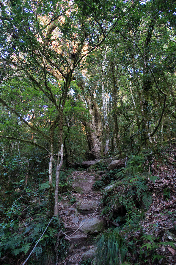 DSC02597.jpg DSC02597.jpg