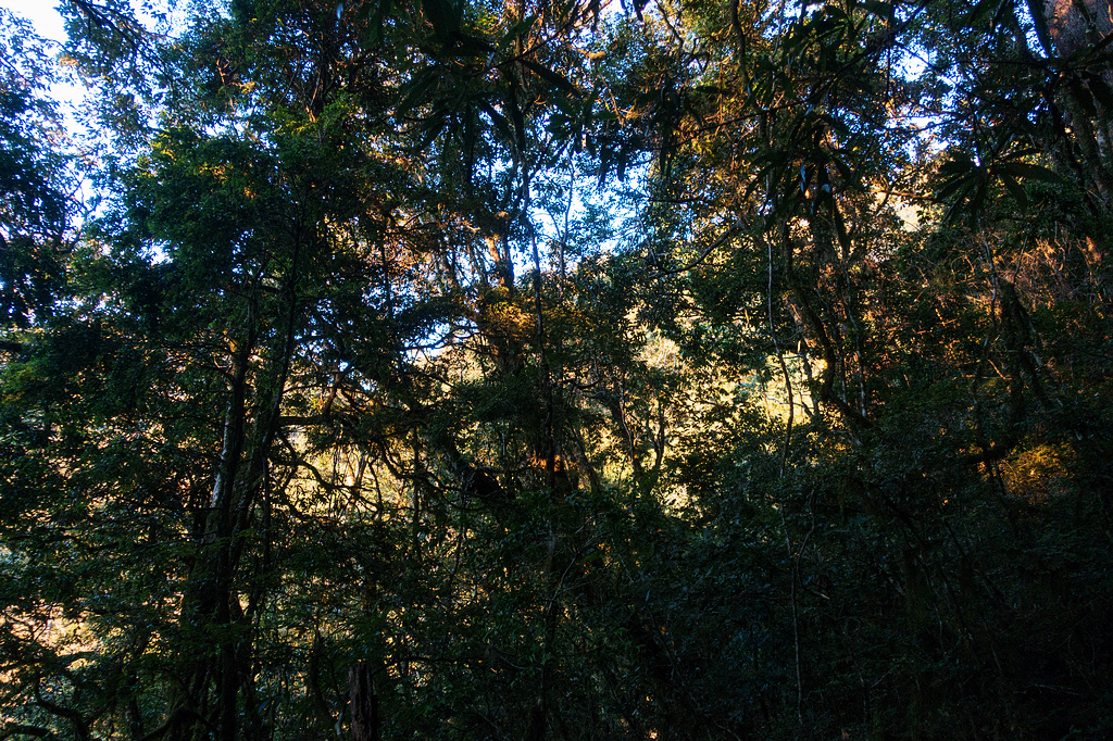 DSC02598.jpg DSC02598.jpg