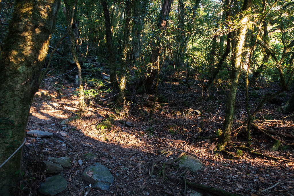 DSC02601.jpg DSC02601.jpg