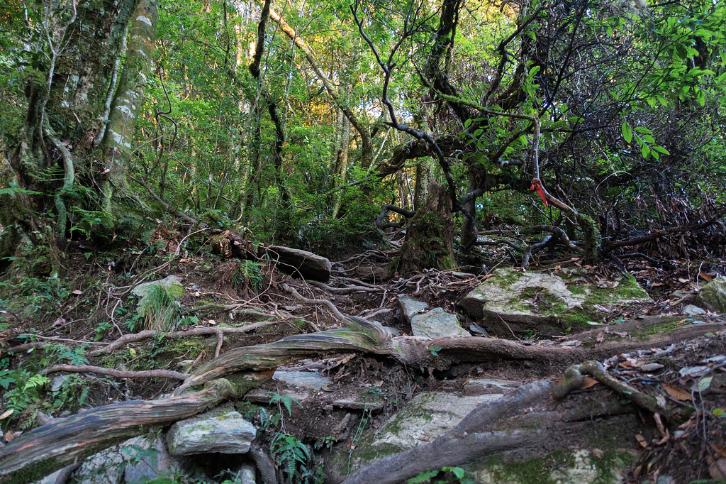 DSC02600.jpg DSC02600.jpg