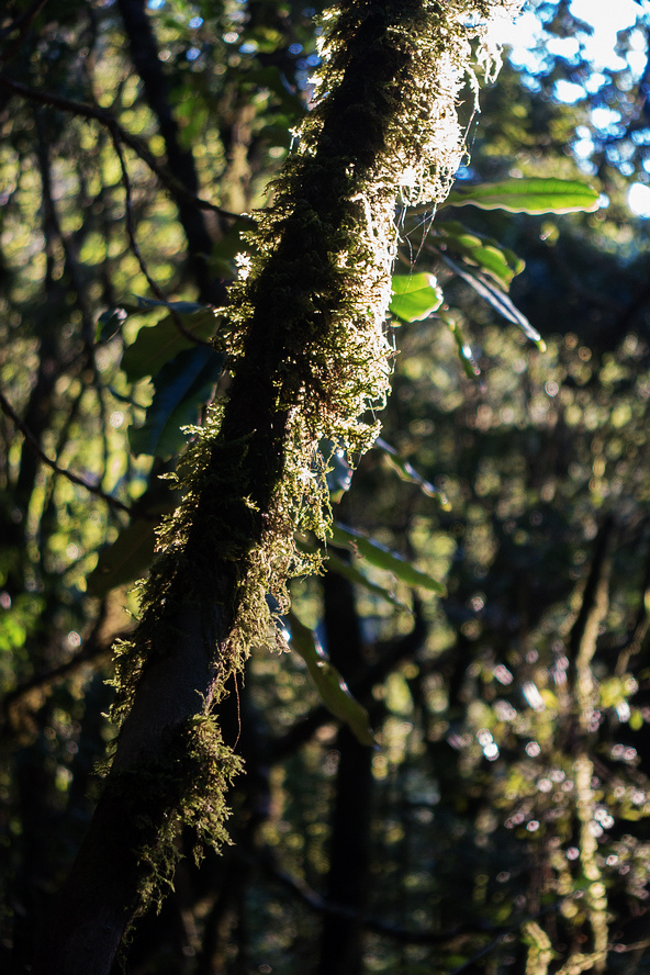 DSC02606.jpg DSC02606.jpg