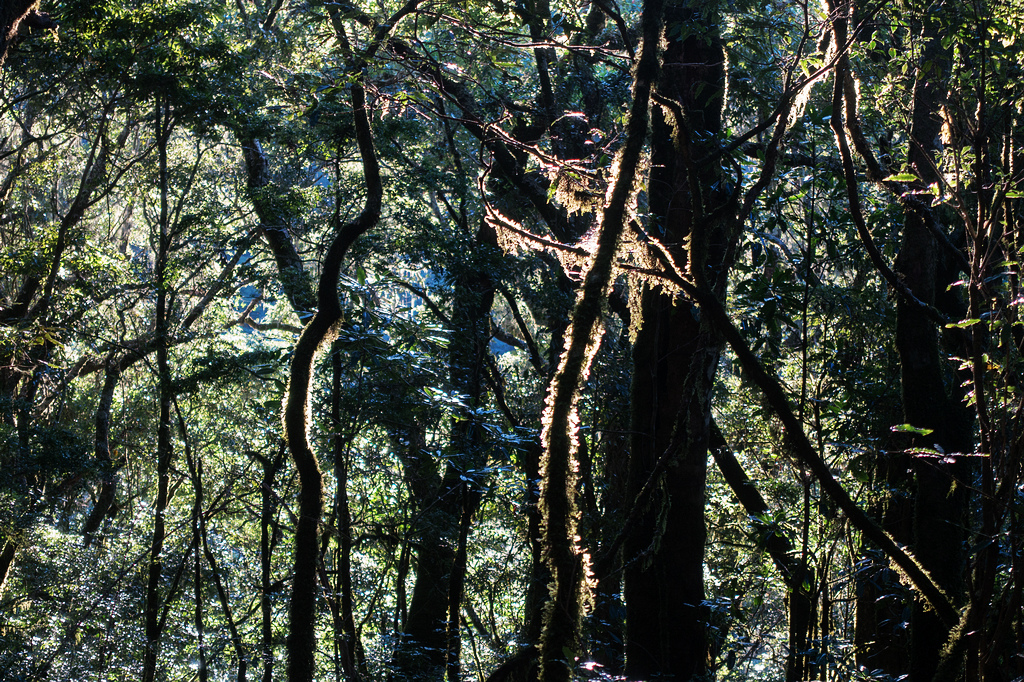 DSC02603.jpg DSC02603.jpg