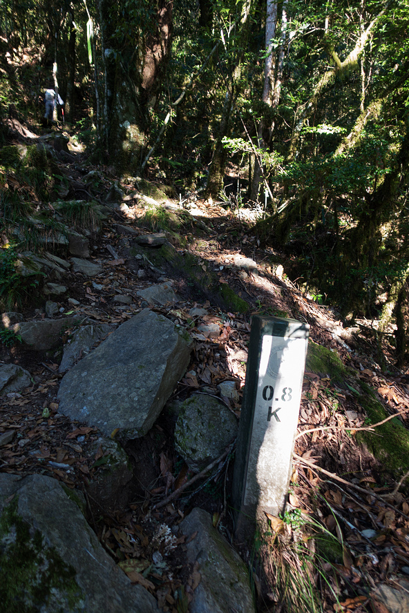 DSC02616.jpg DSC02616.jpg