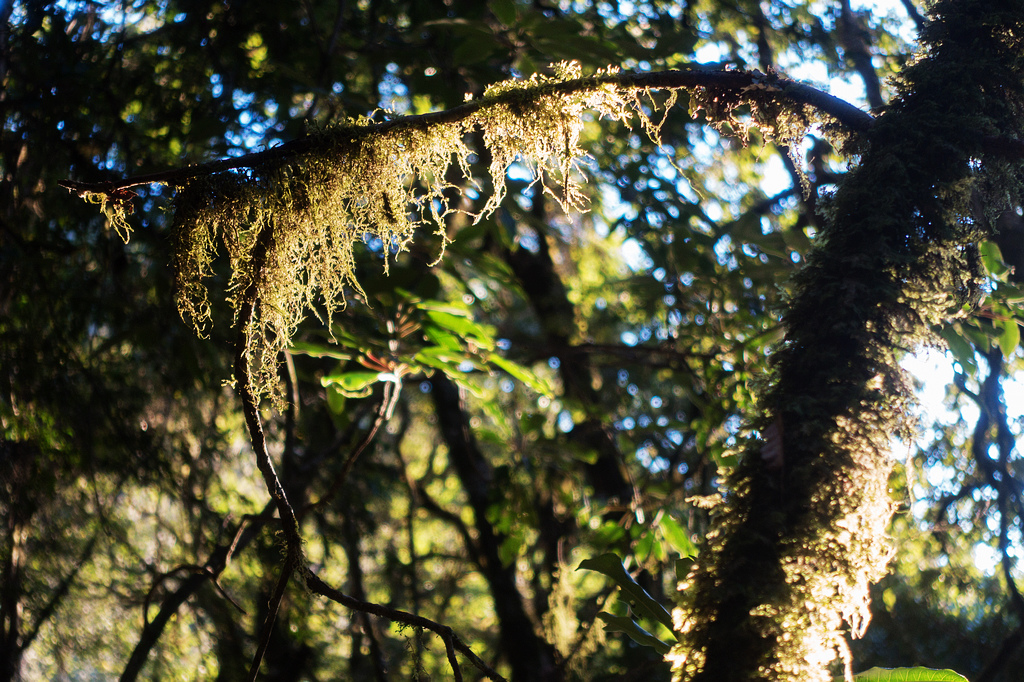 DSC02607.jpg DSC02607.jpg